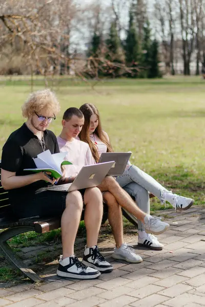 Güneşli bir günde, üç neşeli öğrenci, parkta bir bankta otururken dizüstü bilgisayar ve not defteri kullanarak birlikte çalışır ve birlikte çalışırlar. Yüksek kalite fotoğraf