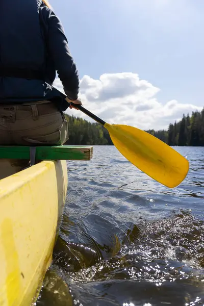 Estonya 'da sakin bir orman gölünde kano macerası. Güneş ışığı ve manzaralı. Yüksek kalite fotoğraf