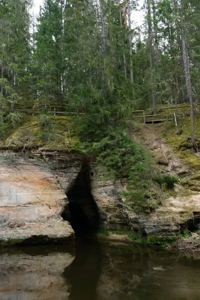 Evergreen Ağaçları ile çevrili Sakin Orman Nehrindeki Karanlık Mağara Girişi ve Yansımaları ile Yosun Yosun Tepesi. Yüksek kalite fotoğraf