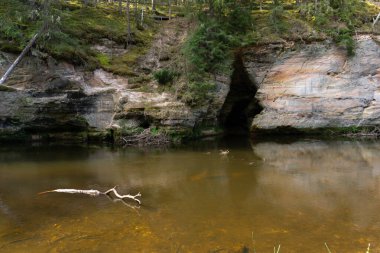 Evergreen Ağaçları ile çevrili Sakin Orman Nehrindeki Karanlık Mağara Girişi ve Yansımaları ile Yosun Yosun Tepesi. Yüksek kalite fotoğraf