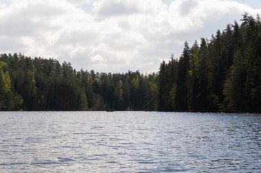 Bahar Ormanı Irmağı, yemyeşil ormanlarda, güneş ışığı ve gölgelerle akıyor. Yüksek kalite fotoğraf