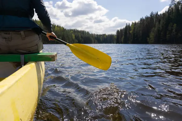 Estonya 'da sakin bir orman gölünde kano macerası. Güneş ışığı ve manzaralı. Yüksek kalite fotoğraf