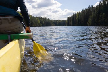 Estonya 'da sakin bir orman gölünde kano macerası. Güneş ışığı ve manzaralı. Yüksek kalite fotoğraf