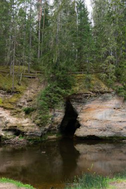 Evergreen Ağaçları ile çevrili Sakin Orman Nehrindeki Karanlık Mağara Girişi ve Yansımaları ile Yosun Yosun Tepesi. Yüksek kalite fotoğraf