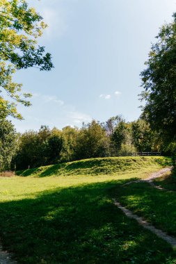 Scenic green meadow with trees under a clear blue sky on a sunny day orange autumn . High quality photo