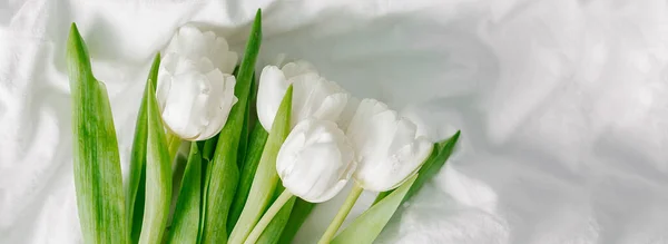 Λευκές Τουλίπες Λουλούδια Λευκό Ύφασμα Φόντο Πάσχα Ανοιξιάτικες Διακοπές Πάνω — Φωτογραφία Αρχείου
