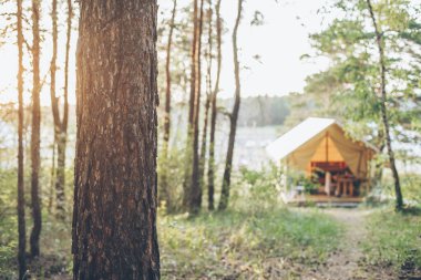 Glamping çadırı. Glamping seyahati. Ormandaki çadır evi. Kamp ve tatil konsepti.