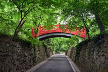 a red bridge over the road in the green forest in the park clipart