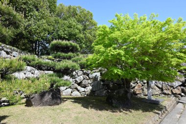 Yandaki yeşil ağaçlar güneşli bir günde yürür
