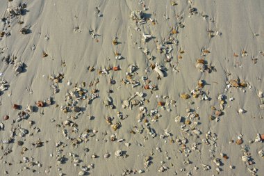 Güneşli bir günde, Hainan Sanya 'da kumsalda küçük kaya grupları.