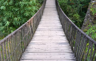Çin 'in Chengdu bölgesindeki bahçedeki yeşil çalılıklarda tahta köprü.