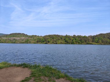 Ormandaki göl manzarası güneşli bir öğleden sonra mavi gökyüzü