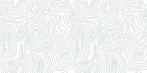 Yükseklik çizgisi modeli. topografik arazi haritası