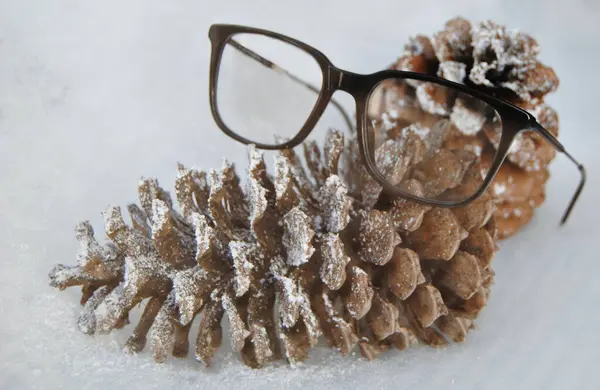 Karla kaplı iki kozalağın üzerine yerleştirilmiş bardaklar, soğuk ve karlı bir kış ortamı.