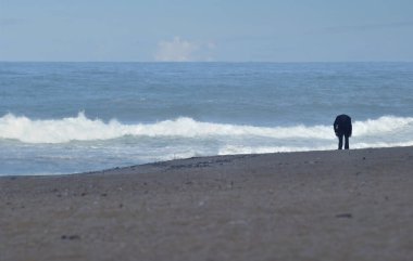 Soğuk bir bahar sabahı kumsalda elinde sopayla eğilip kumlarda bir şey arayan birinin silueti vardı.