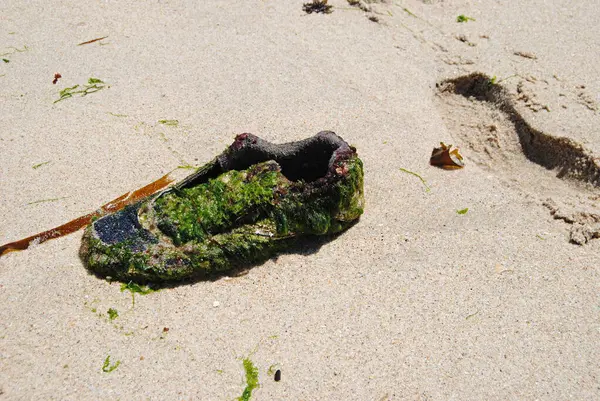 Kayıp ve izi sürülen ayakkabı, deniz ve sahil suyu kirliliği, çöpe atılma, çevre