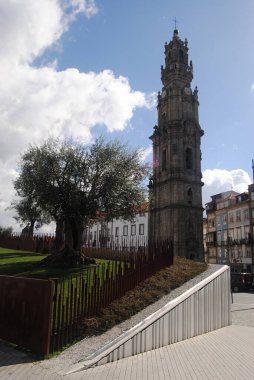Bir zeytin ağacı ve Clrigos Kulesi zeytin bahçesinden Porto 'daki Clrigos Kulesi' ne kadar