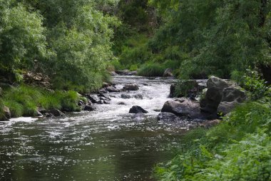 Nehirli dağ vadisi, nehir yatağındaki kayaların üzerinden akan su ve kıyılardaki bitki örtüsü.