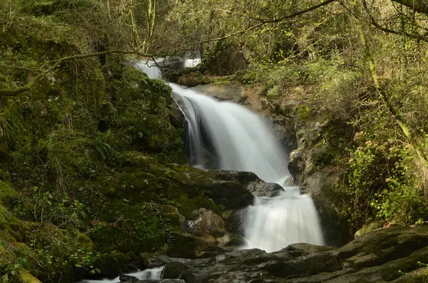 Kayaların arasından akan su şelalesi ve bir dağ yamacının bitki örtüsü.