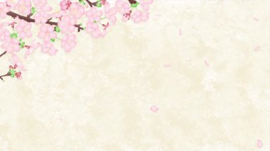 Japon tarzı kiraz çiçeği arkaplan illüstrasyonuna düşen kiraz çiçeğinin canlandırması 4k video materyali.