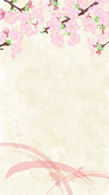 4K döngü animasyonu. Japon tarzı arka planda sallanan kiraz çiçekleri ve düşen taç yaprakları. Bahar temalı görseller, zarif tasarımlar ve doğadan esinlenilmiş projeler için mükemmel..