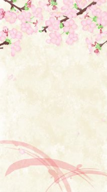 4K döngü animasyonu kiraz çiçeği yaprakları Japon tarzı sakura illüstrasyon arka planına nazikçe düşüyor. Bahar temaları, doğadan esinlenilmiş görseller ve zarif Japon estetiği için ideal..
