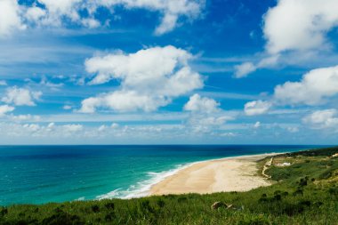 Praia üzerindeki mavi gökyüzünü süsleyen beyaz bulutlar Portekiz, Nazare 'deki Norte plajını süslüyor. Ön planda yeşil bitki örtüsü ve turkuaz su yavaşça kıyıya vuruyor.