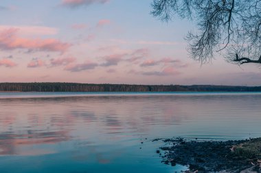 Huzurlu göl, pembe günbatımı bulutlarını yansıtıyor ağaçlar ve dallarla, canlı renkler doğada sakin bir atmosfer yaratıyor.