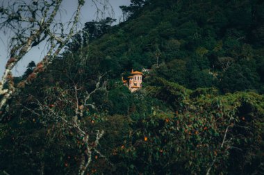 Lush vegetation partially covering an old castle on the mountainside in sintra, portugal, creating a mysterious and evocative atmosphere clipart