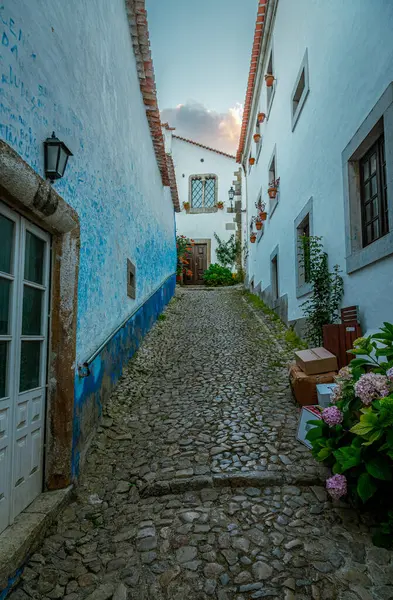 Estuario do Douro Yerel Doğa Koruma Alanındaki bir ağacın altında iki kişi oturuyorlar. Douro nehrinin üzerinde sakin günbatımının tadını çıkarıyorlar. Villa nova de gaia, Portekiz 'de.