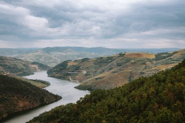 Douro Nehri, Portekiz 'in Alijo yakınlarındaki dağlık arazide dolanıyor. Üzüm bağları ve ormanlar bulutlu bir gökyüzünün altındaki yamaçları kaplıyor ve Douro Vadisi şarap bölgesinin manzaralı manzarasını yaratıyor.