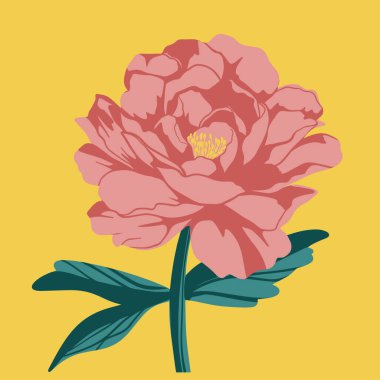 Şakayığın renkli düz vektör çizimi. Kozmetik paket tasarımı, şifalı bitki, tedavi, yarım bakım, parmak izi. Kumaş, tekstil, giysi, ambalaj kağıdı, duvar kağıdı için tasarım ögesi