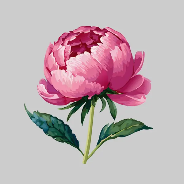 Pembe narin şakayık. Çiçek tasarım ögesi