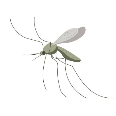 Küçük sivrisinek. Çizgi film tarzında düz, basit bir resim
