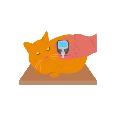 Diyabet ikonu vektör olarak kontrol ediliyor. Logotype