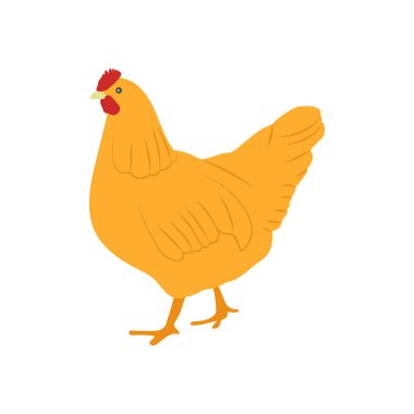 Vektör olarak tavuk simgesi. Logotype
