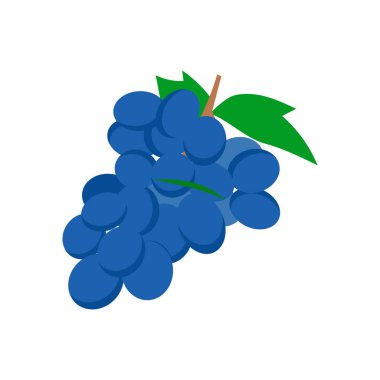 Vektör olarak üzüm simgesi. Logotype