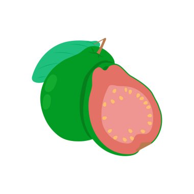 Vektör olarak Guava simgesi. Logotype