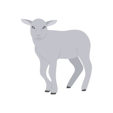 Vektör olarak kuzu simgesi. Logotype