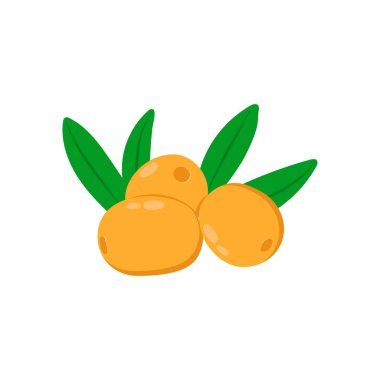 Vektör olarak zeytin simgesi. Logotype