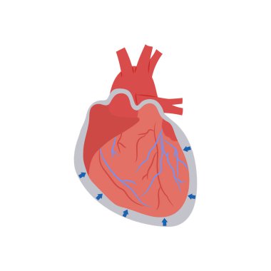 Perikardiyal hastalık ikonu. Logotype