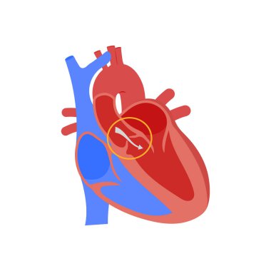 Aort kapakçığı kusma simgesi vektörde. Logotype