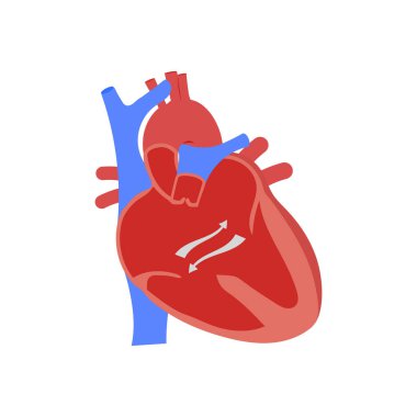 Vektör olarak Atrioventriküler kanal simgesi. Logotype