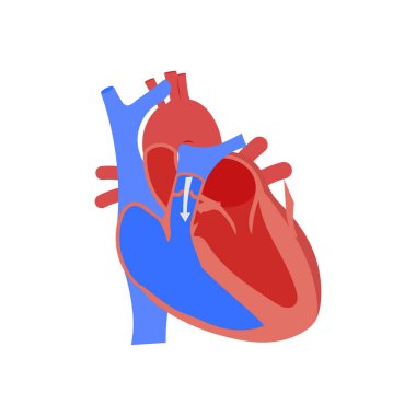 Pulmoner Regurgitation ikonu vektörde. Logotype