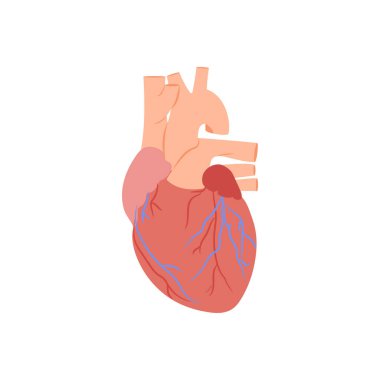 Kalp ikonu vektörde. Logotype