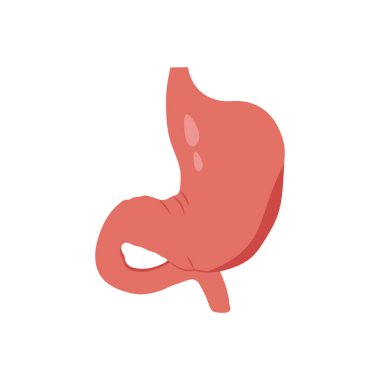 Mide ikonu. Logotype