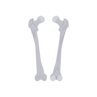 Uyluk ikonu vektör olarak. Logotype