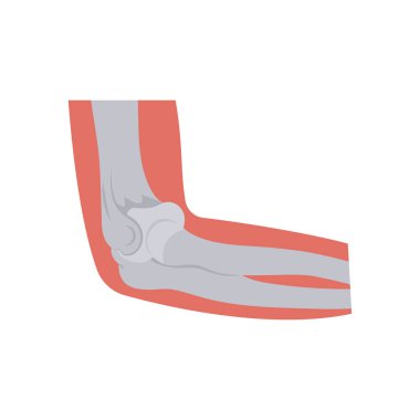 Dirsek kemiği simgesi vektör. Logotype