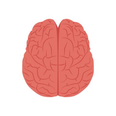 Vektör olarak Beyin Üst Görünüm simgesi. Logotype