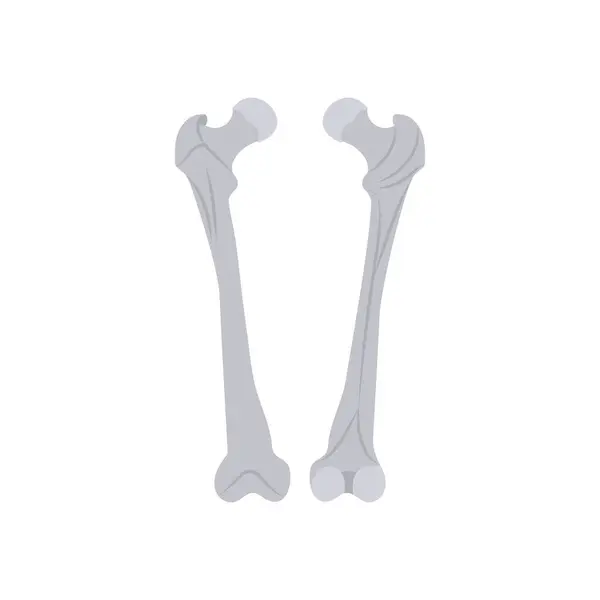 Uyluk ikonu vektör olarak. Logotype